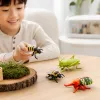 Color walking insect toy set 12 modelos movibles abejas conteniendo ojo de dragón pollo saltamontes madera musgo fondo details Picture